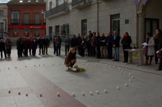 La zona norte de Madrid dice NO a la violencia de género. Colmenar Viejo