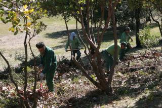 Los socialistas tricantinos critican el excesivo gasto en parques y jardines